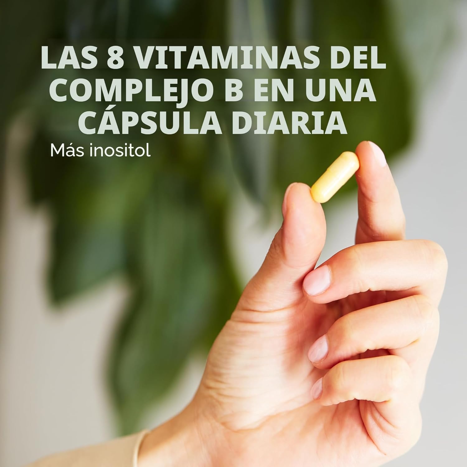 B Complex 100 100 Capsulas Solgar