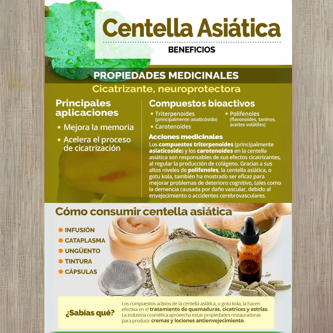 Centella Asiatica 450 Mg 90 Capsulas Oragel