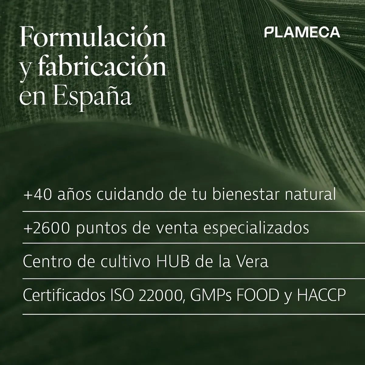 Venalight Plus Gel 100 Ml Plameca