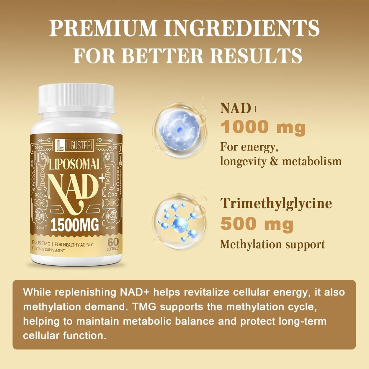 Nad Liposomal 1500 Mg 60 Softgels Ligusteri