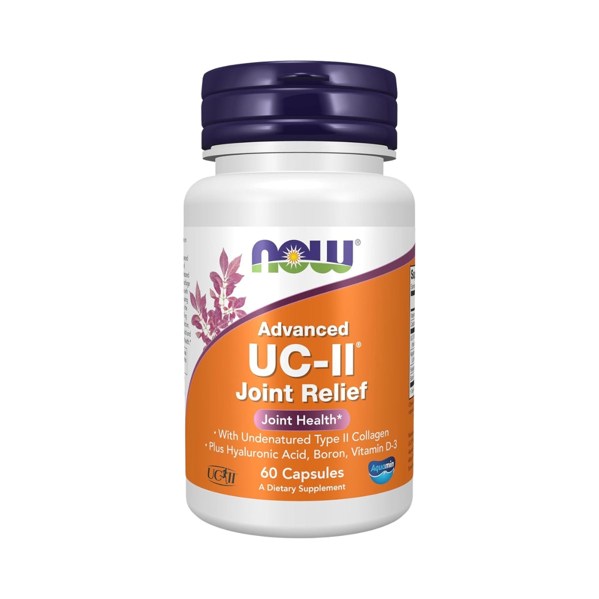UC II Advanced Joint Relief Colageno Nativo 60 Capsulas Now