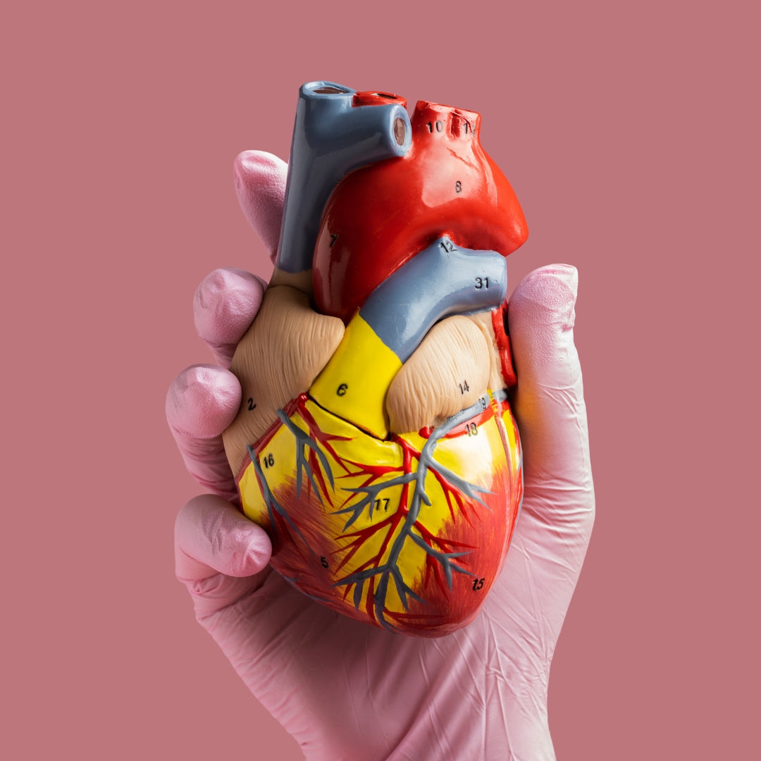 Colesterol y Triglicéridos