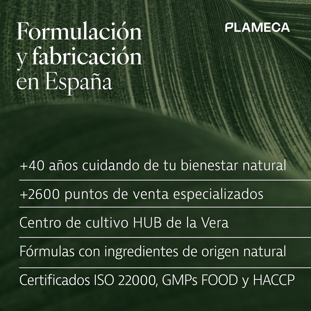 Curarti Colagtium 30 Capsulas Plameca