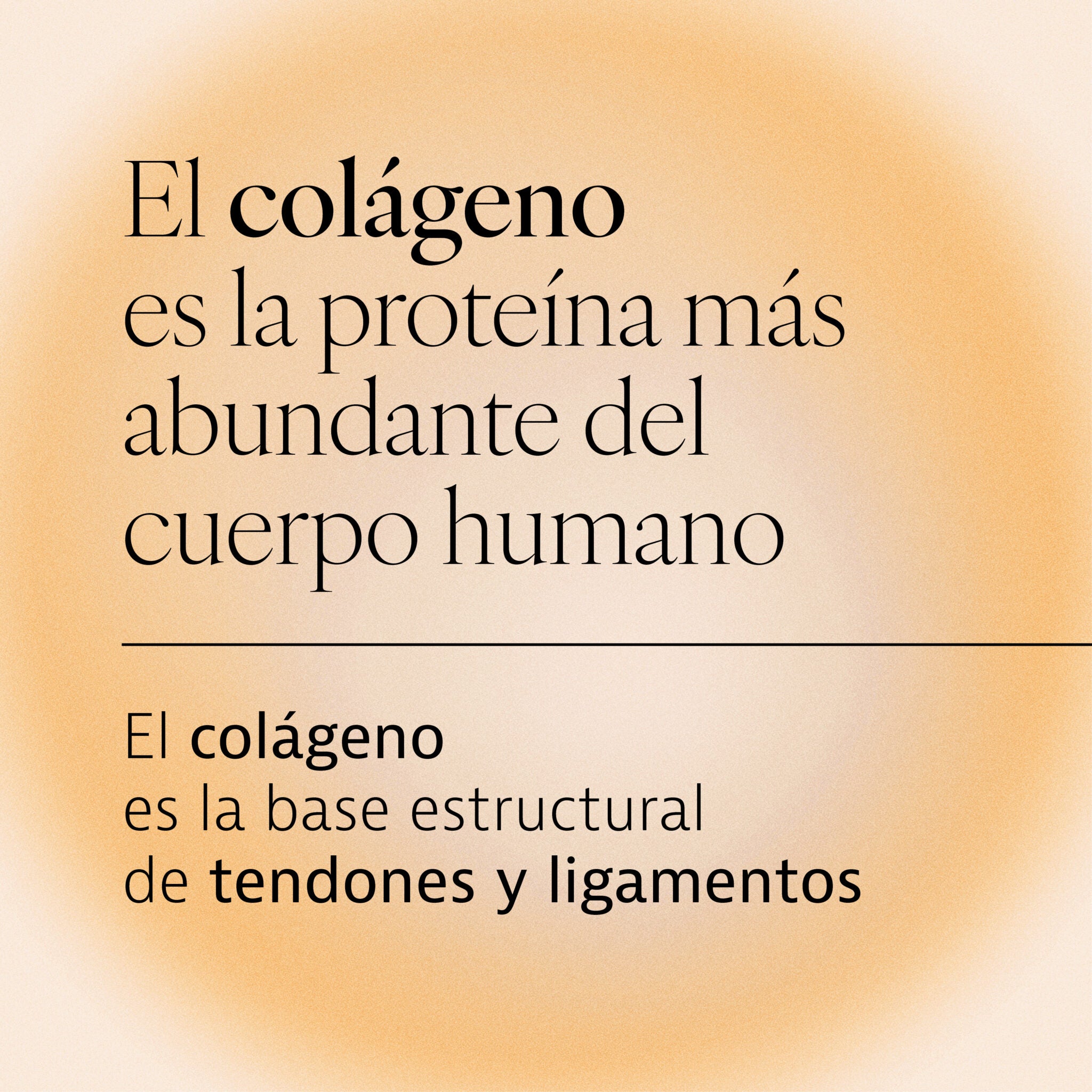 Curarti Colagtium 30 Capsulas Plameca