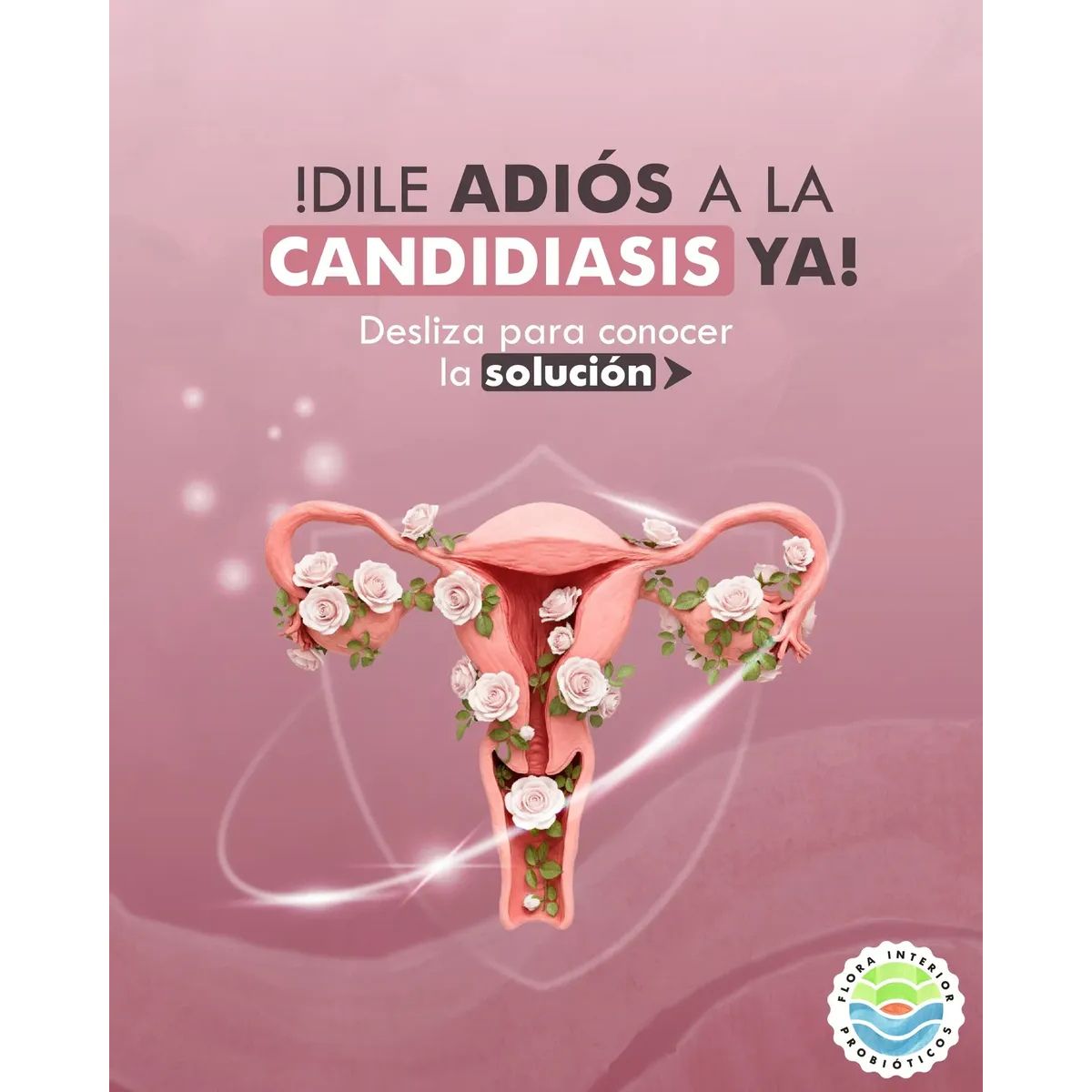 Probiotico Woman Proberry Drink 1 caja Flora Interior