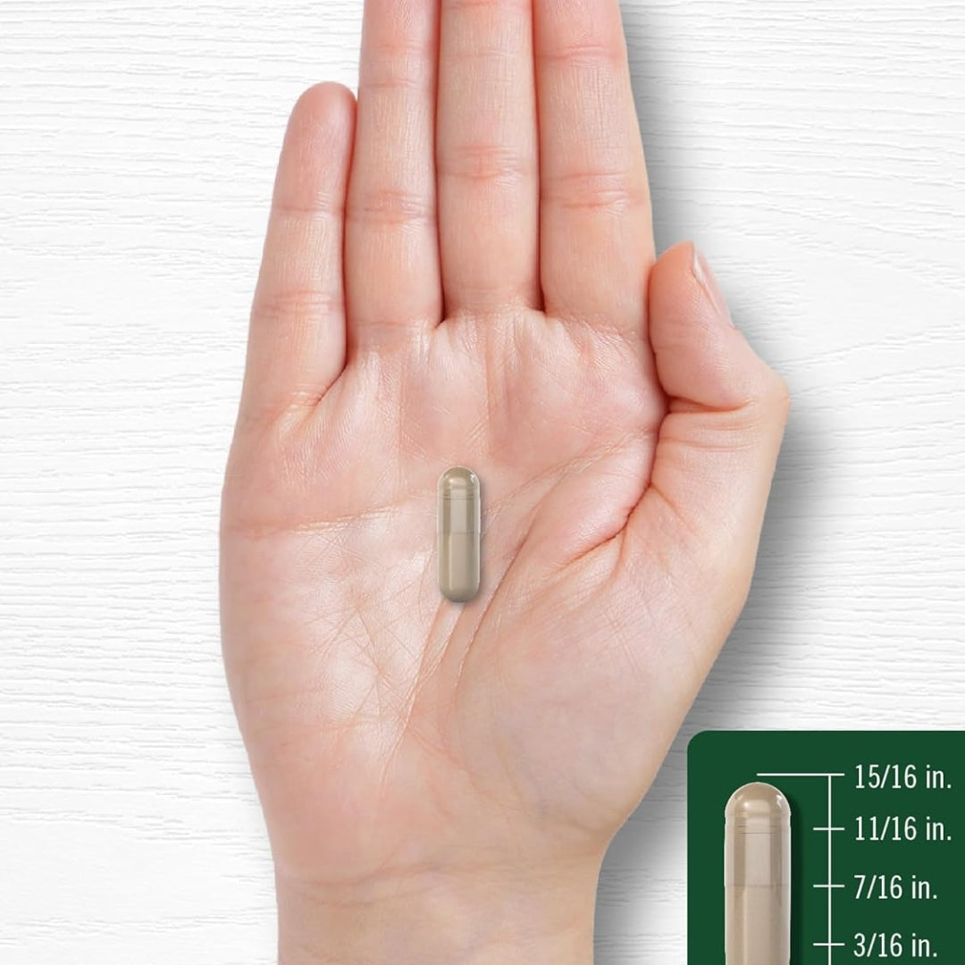 KSM 66 Ashwagandha 600 Mg Con Melatonina 5 Mg 70 Capsulas Carlyle