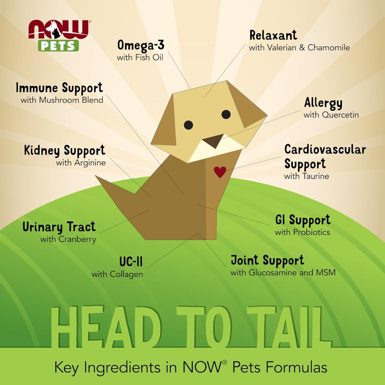 Omega 3 Support 249 Gr 180 Softgels Now Pets