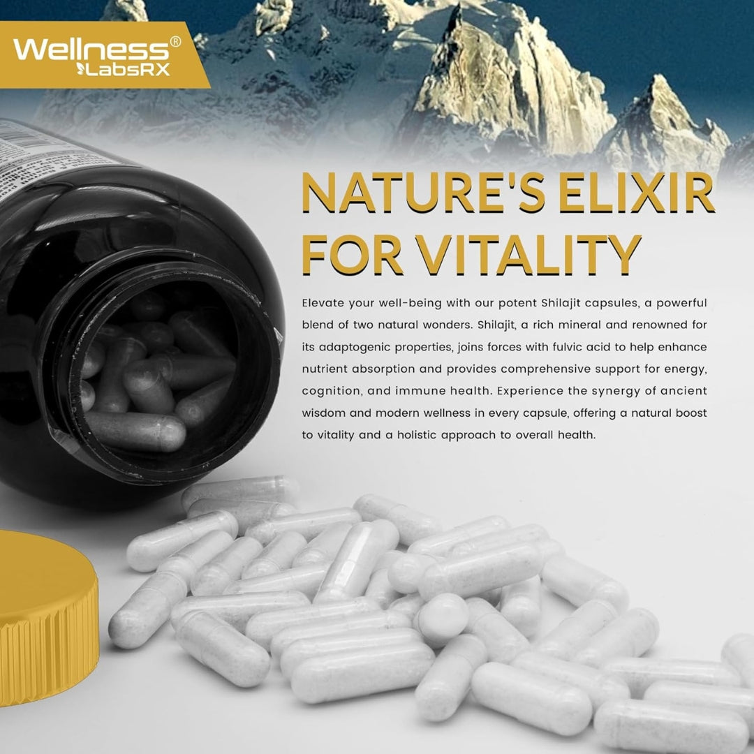 Shilajit 15000 Mg 120 Capsulas Wellness