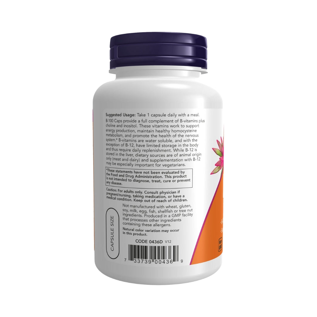 Vitamina B 100 100 capsulas Now